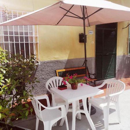 Pierina Apartment Lucca Exterior photo